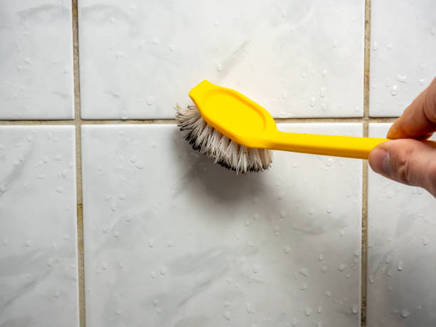 Best Mold Damage Repair  in Hamilton, TX