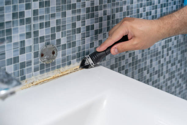 Best Home Mold Removal  in Hamilton, TX